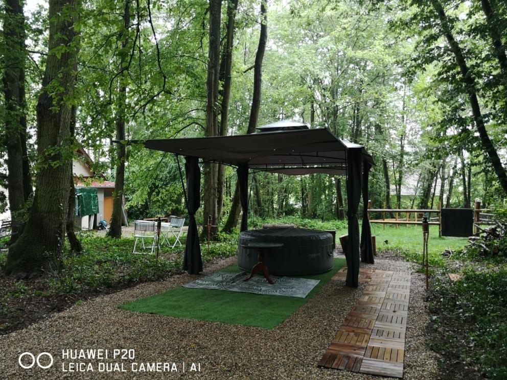 Saint-Vincent-des-Bois Gites Du Bois Des Perruches מראה חיצוני תמונה