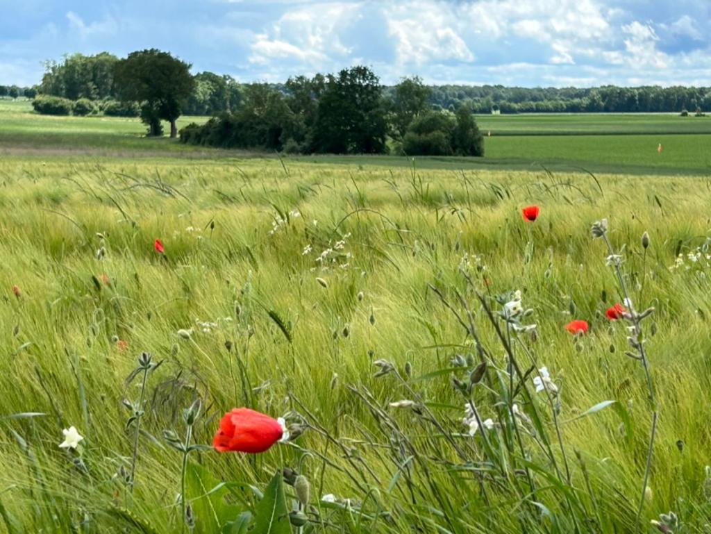 Saint-Vincent-des-Bois Gites Du Bois Des Perruches מראה חיצוני תמונה