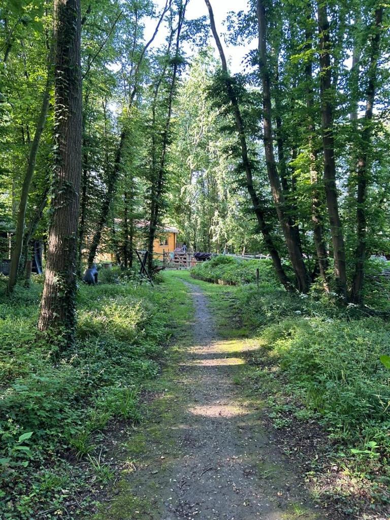 Saint-Vincent-des-Bois Gites Du Bois Des Perruches מראה חיצוני תמונה